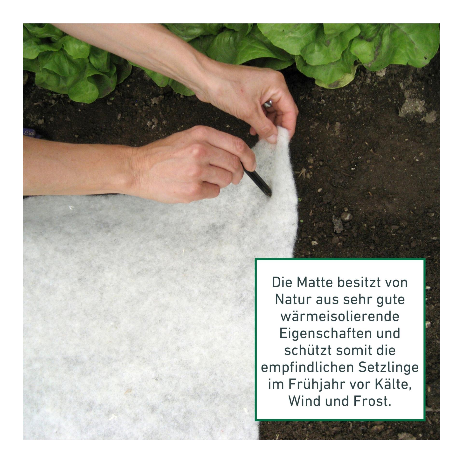 Schafwoll-Wachstumsmatte Greenline