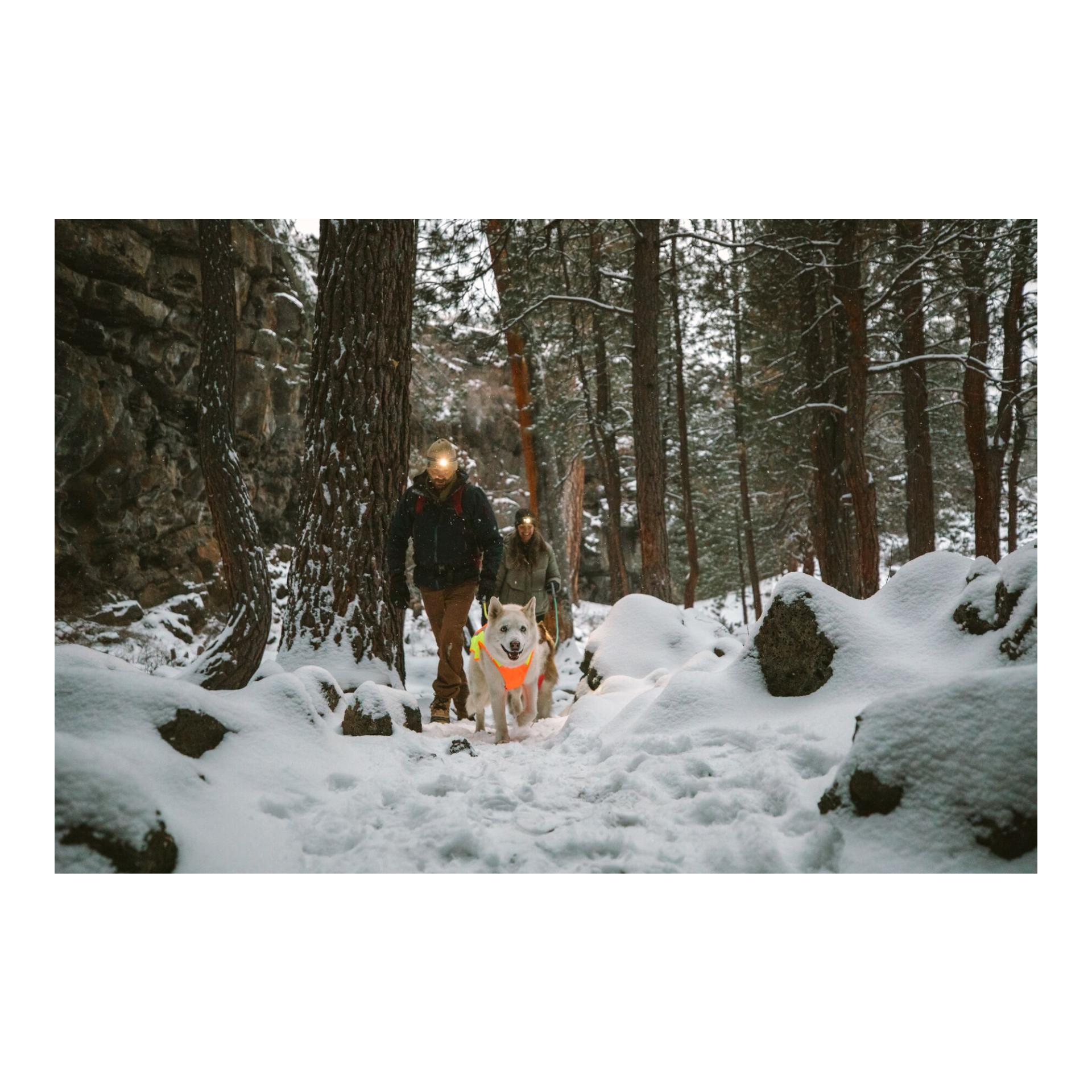 Lumenglow™ Hi-Viz Jacket Hundejacke - blaze orange