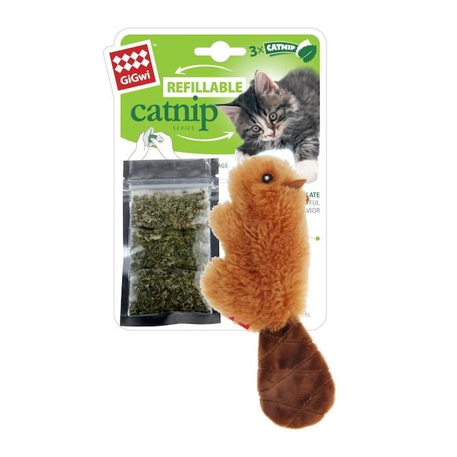 Biber mit Catnip