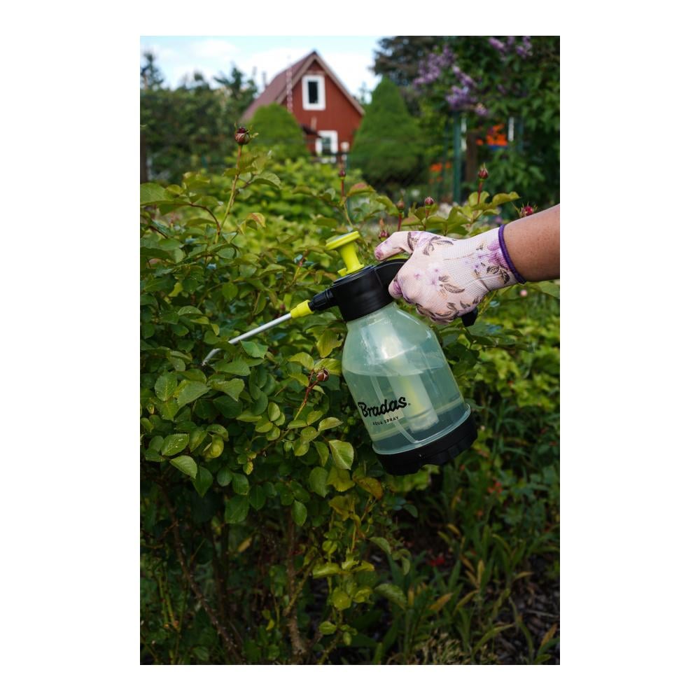 Drucksprüher - AQUA SPRAY CLEAR 