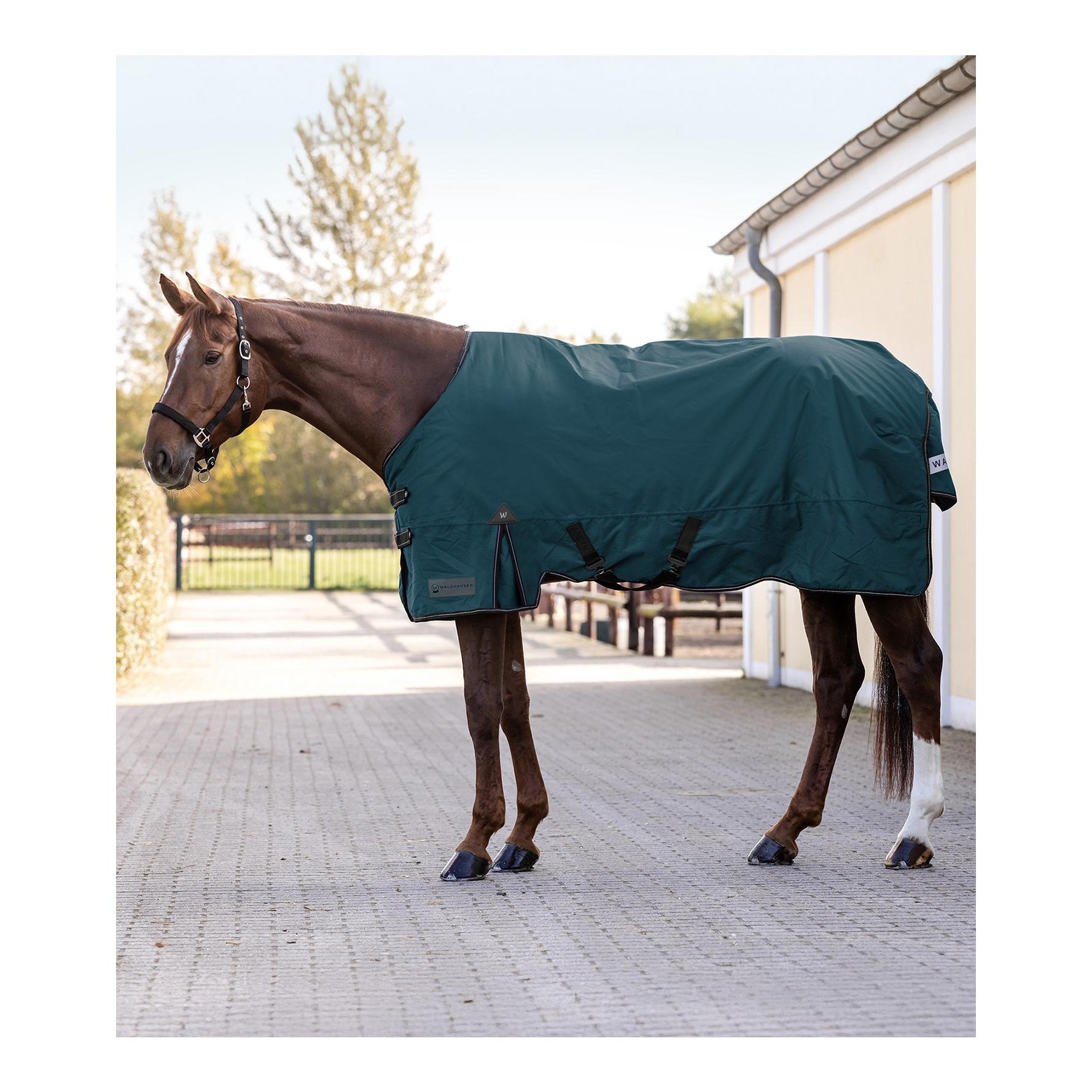 Weidedecke Arctic 50g