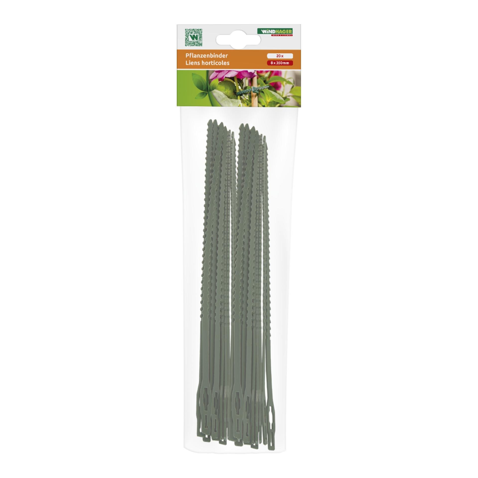 Windhager Attache-plantes