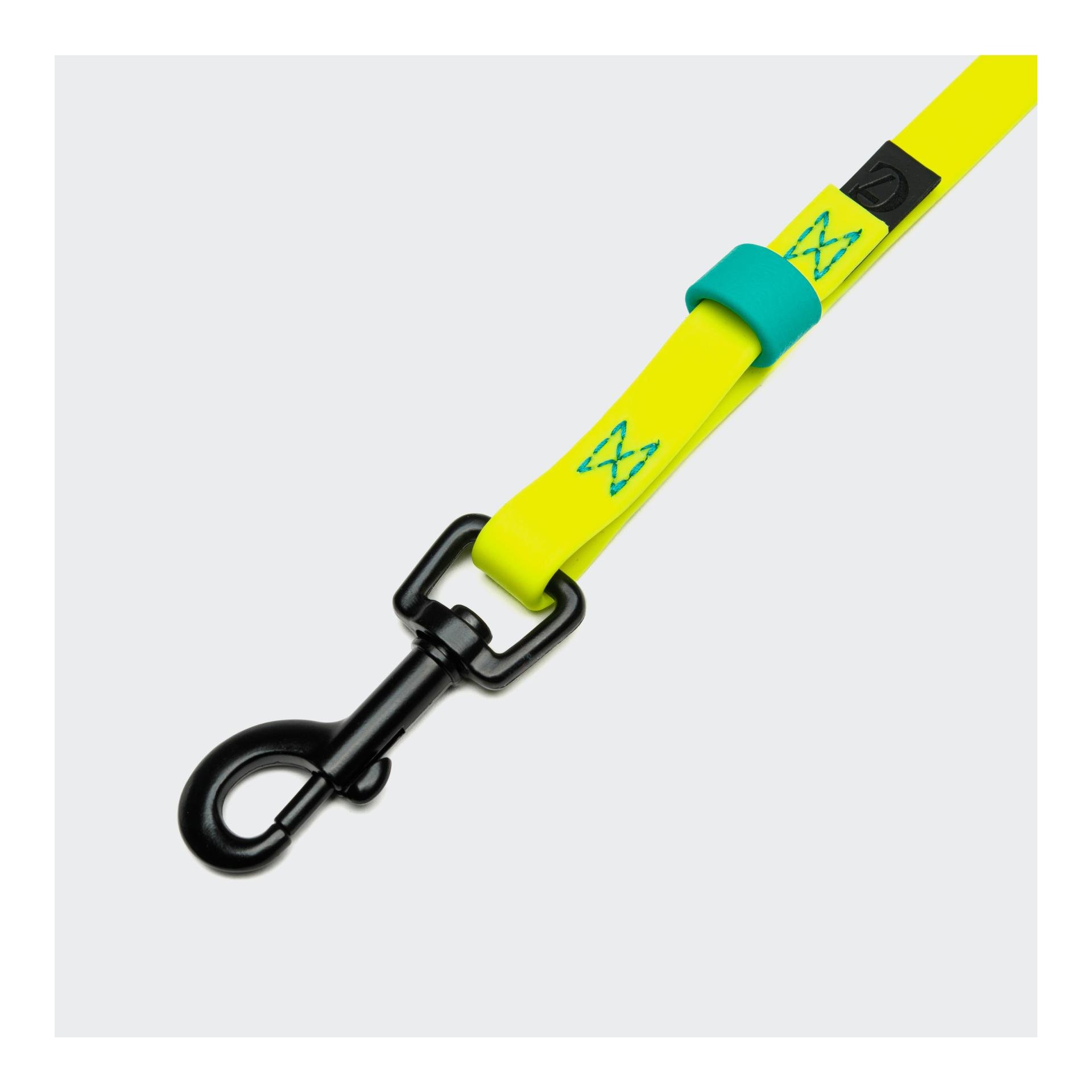 Laisse à pister Ipanema