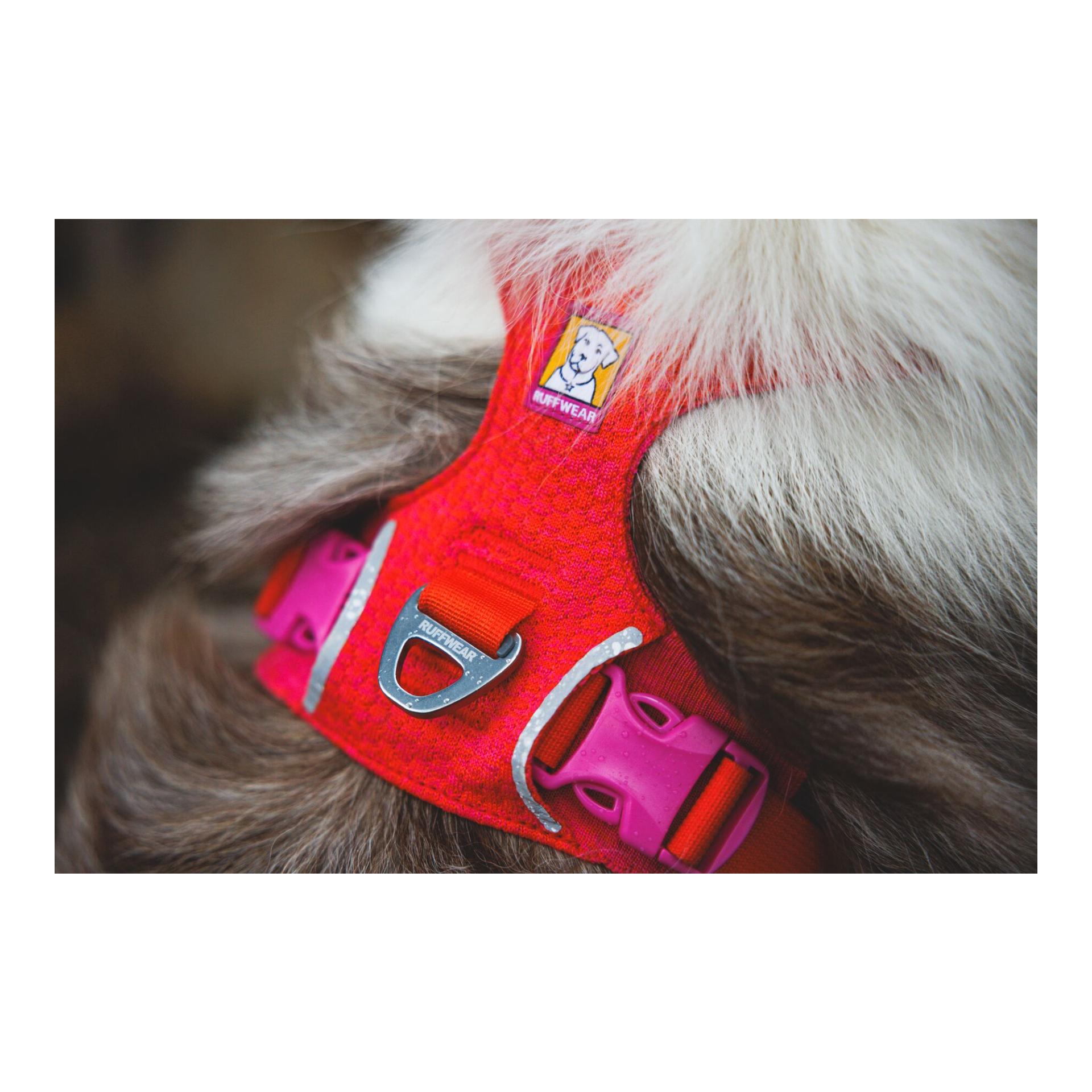 Ruffwear Front Range® Flex Hundegeschirr