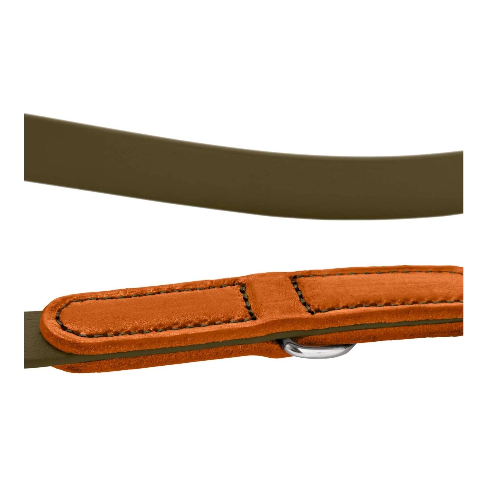 Verstellbare Führleine Wolmar BioThane® x Leder