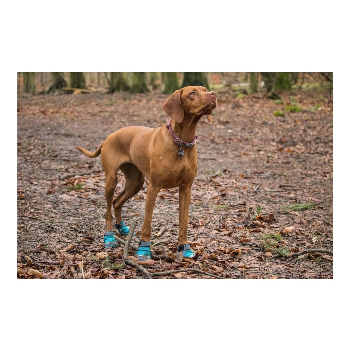 Grip Trex™ - Chaussures pour chien 2 pièces - noir