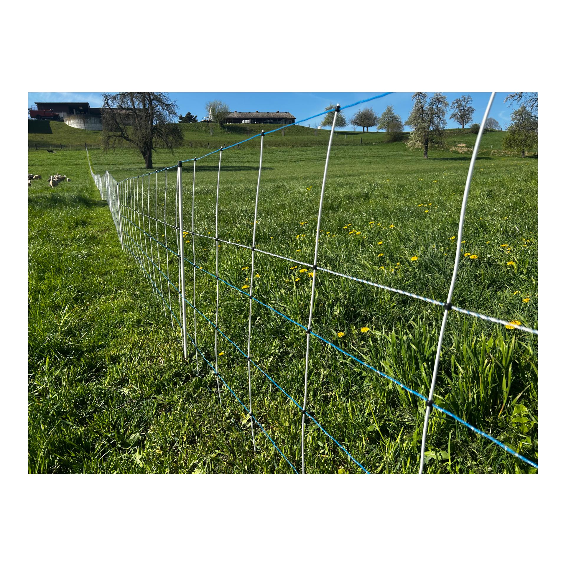 Hauptner Weidenetz Primaflex Alpin - Einzelspitz