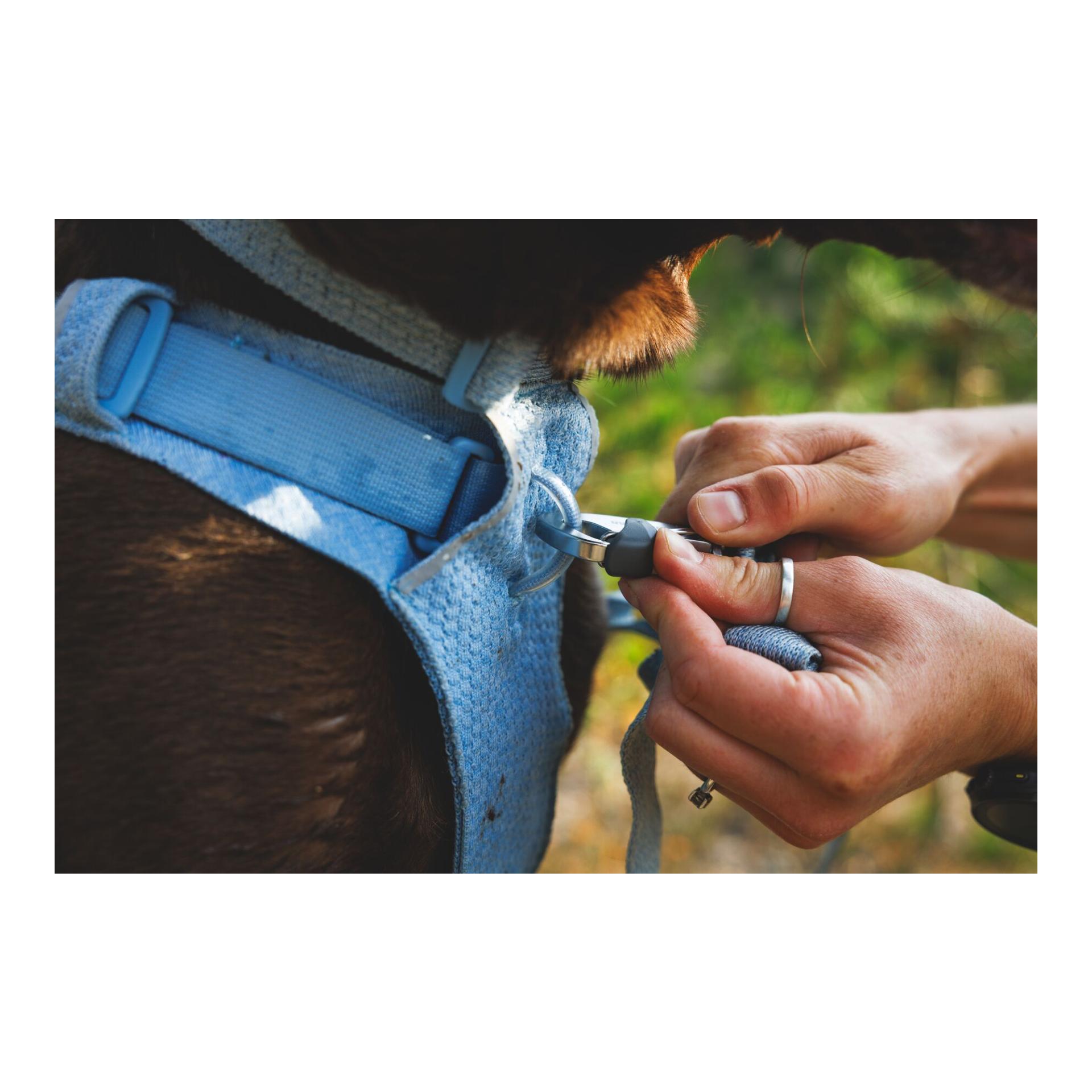 Ruffwear Front Range® Flex Hundegeschirr