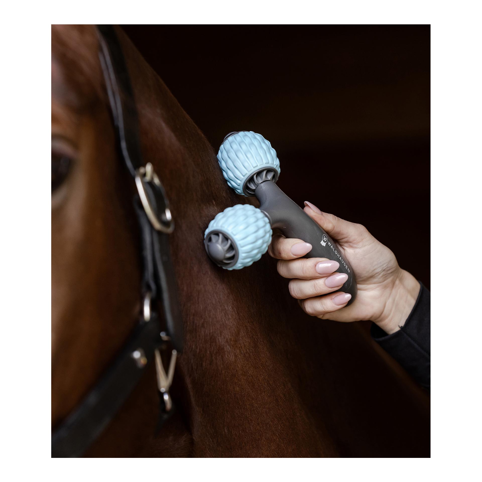 Waldhausen Health + Care Comfort Creator