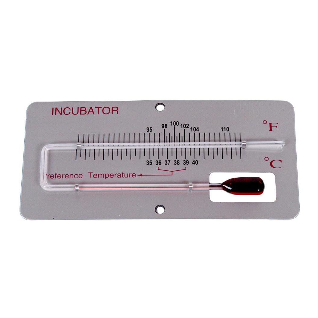 Brutthermometer auf Panel °C / °F