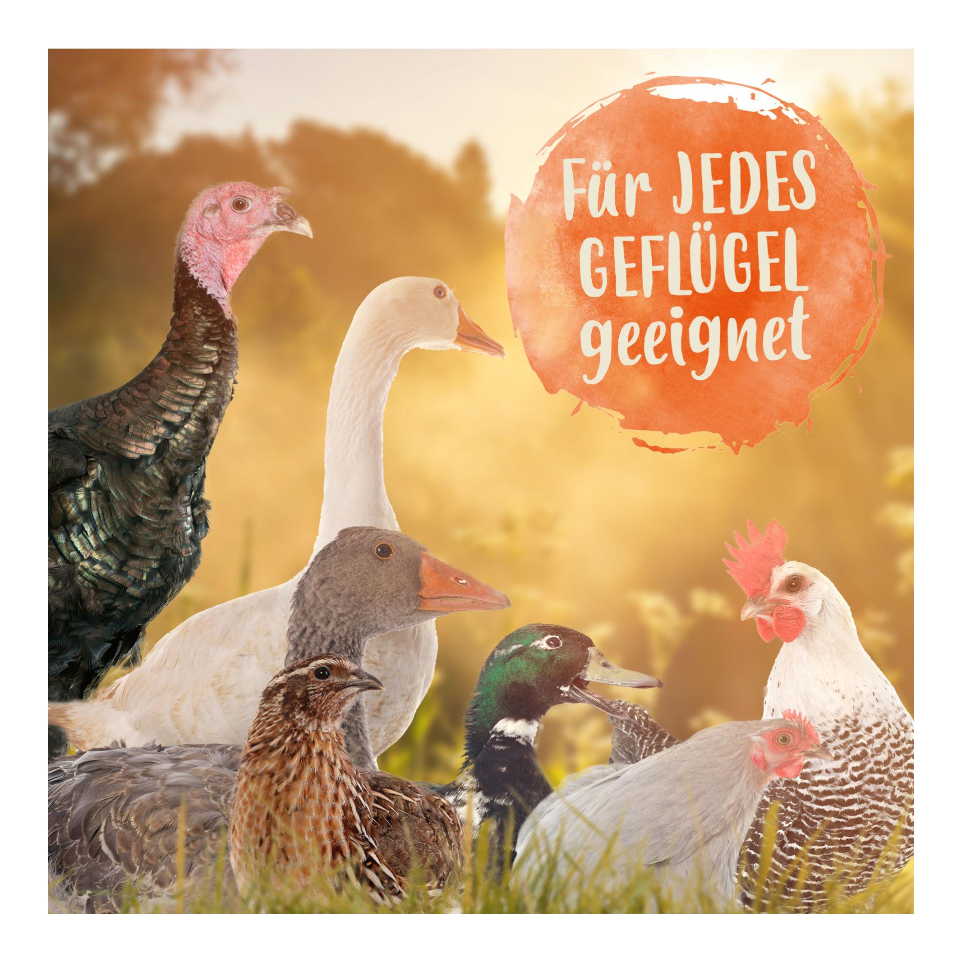 Geflügel Bierhefe Spezial - Futterergänzung für Geflügel