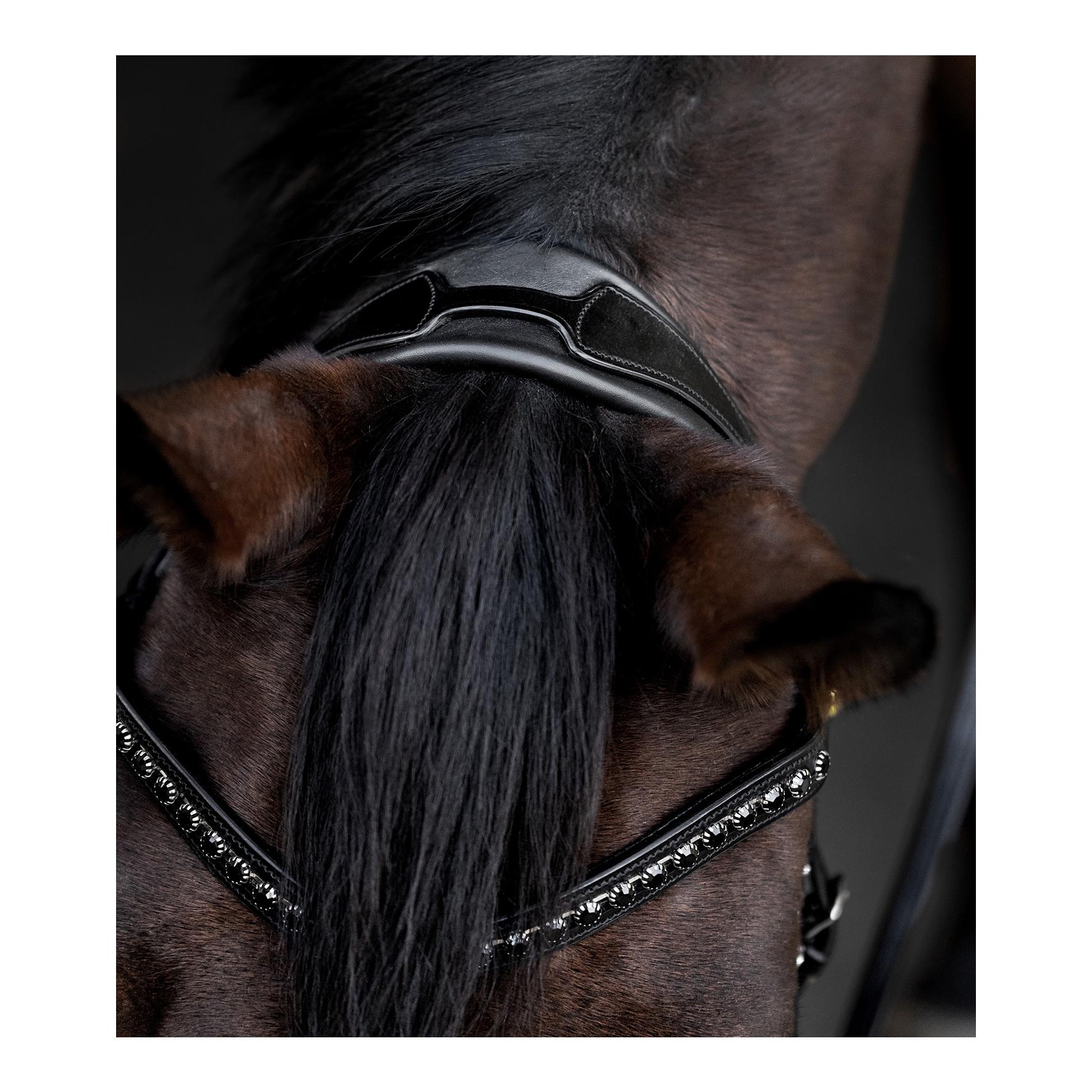 Waldhausen S-Line Trensenzaum Blackshine