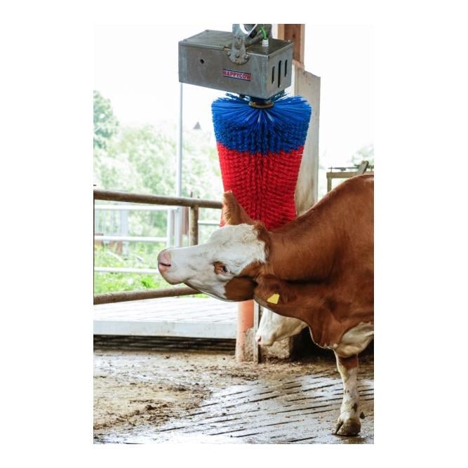 Kuhputzmaschine Maxi Swing