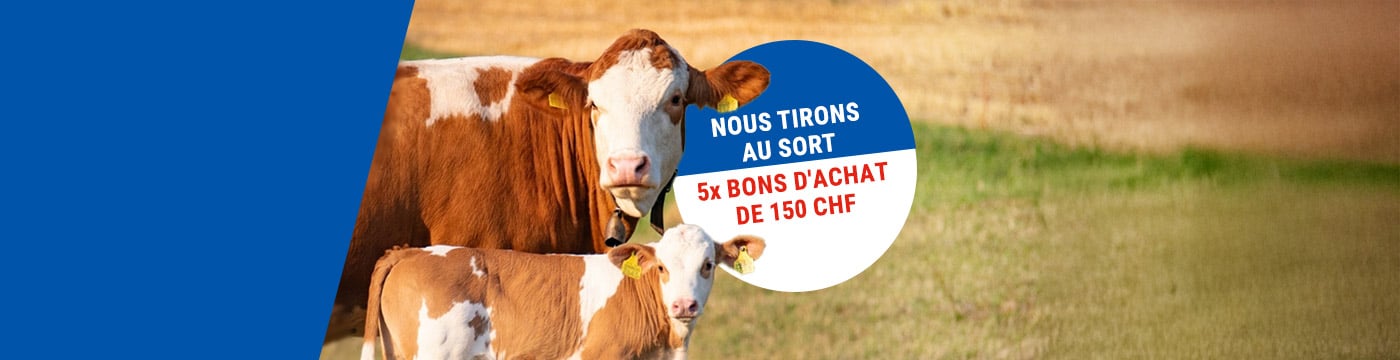 header-swissopen-verlosung05-FR