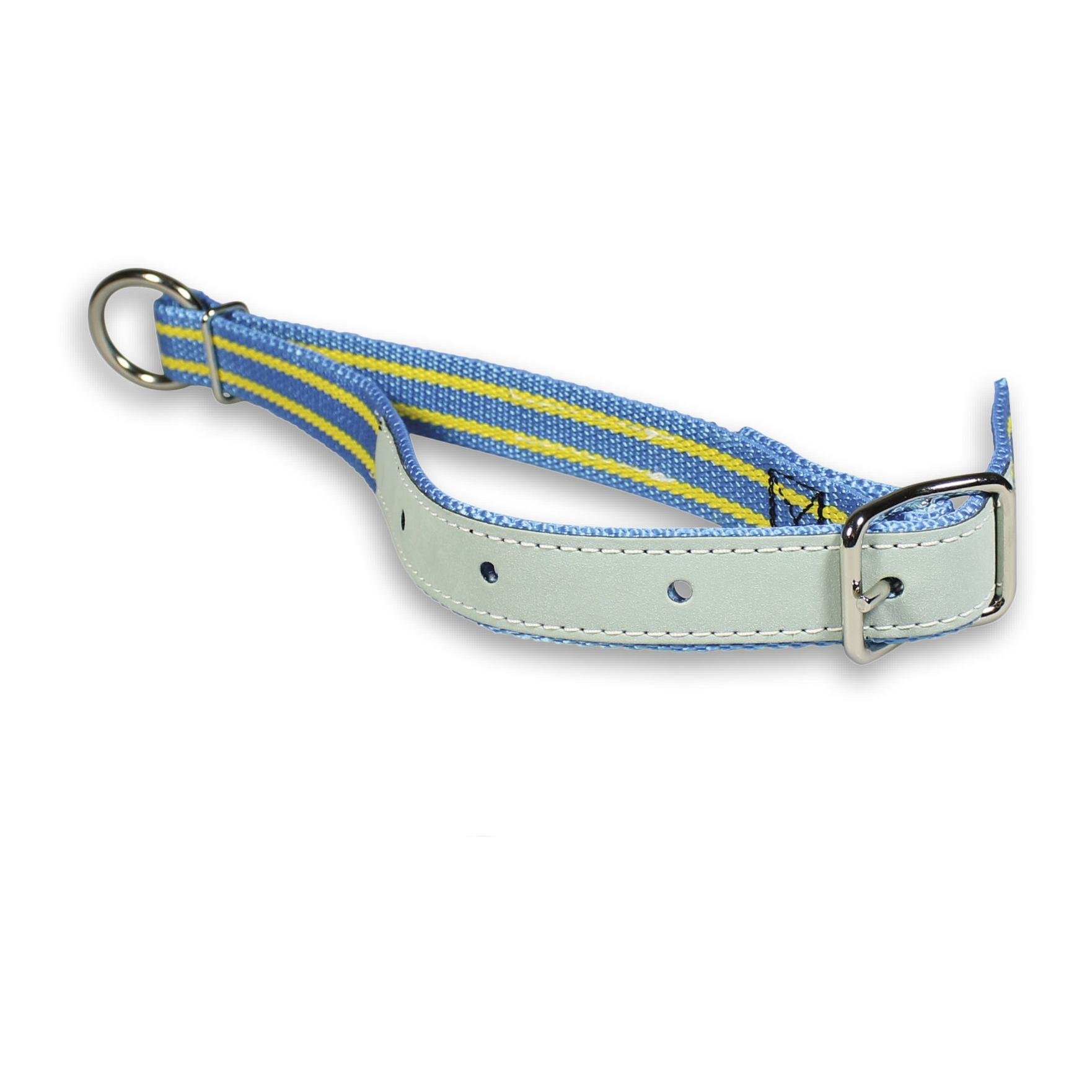 Image of Mainer Halsband für kleine Tiere 30 mm - Hellblau/Gelb - bei Hauptner.ch