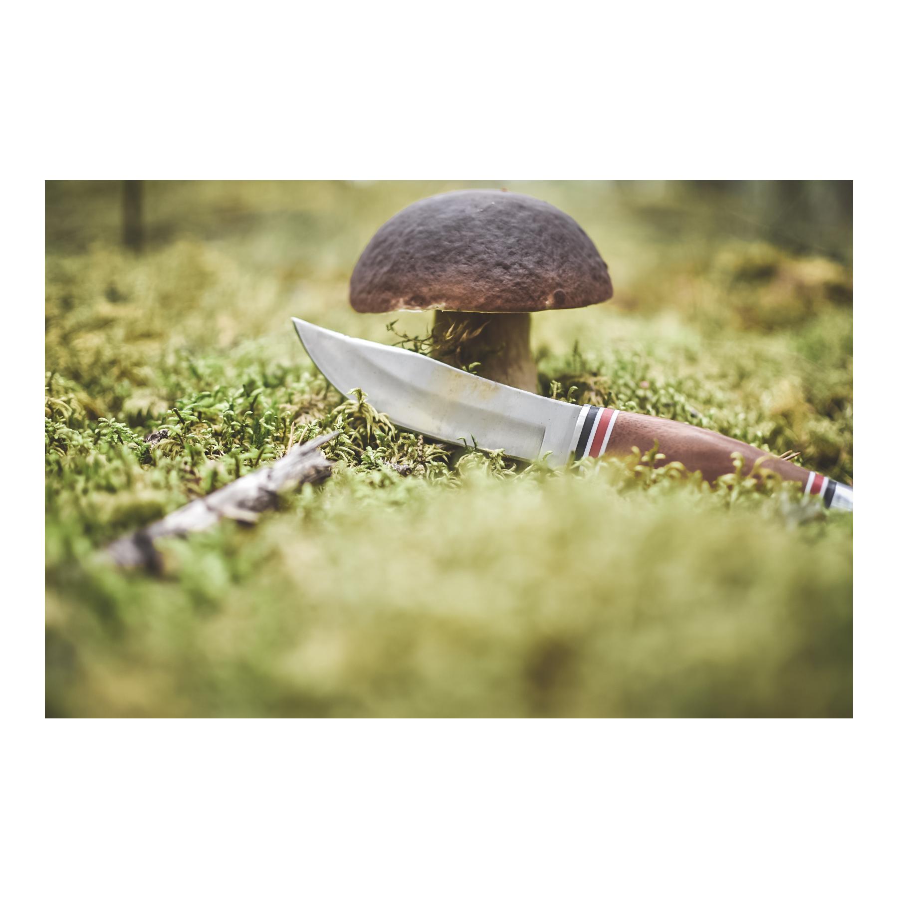 Øyo GEILO - Couteau de chasse/de plein air avec étui de protection en cuir