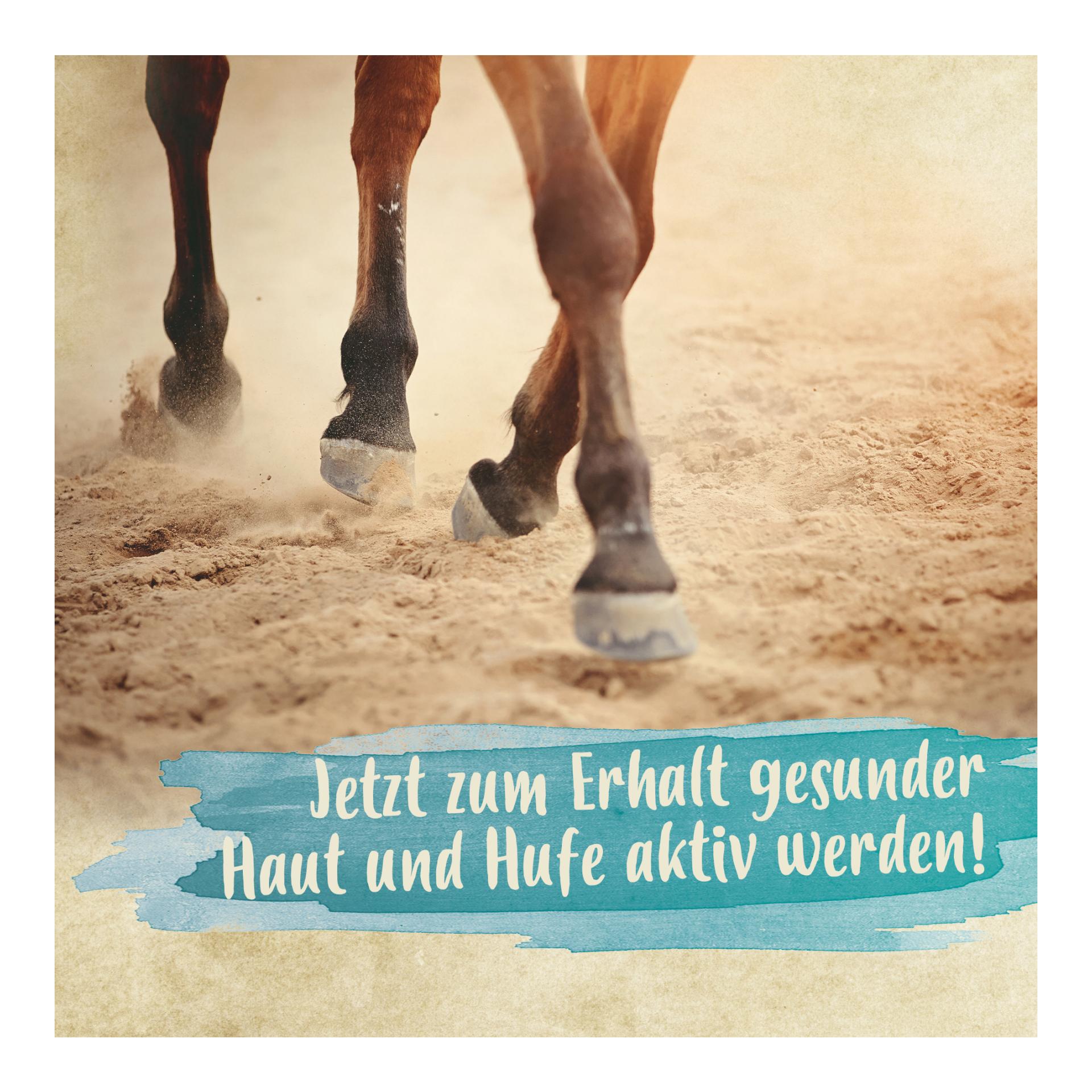 Mauke Spray für Pferde - schnelle Hilfe bei Mauke, Strahlfäule & Ekzemen 