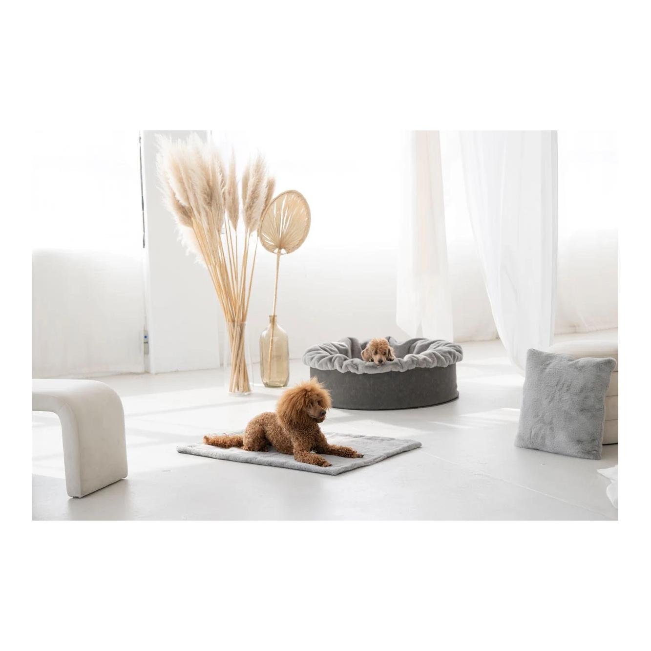 Dogspring by MAUL Hundebett Buddelnest®