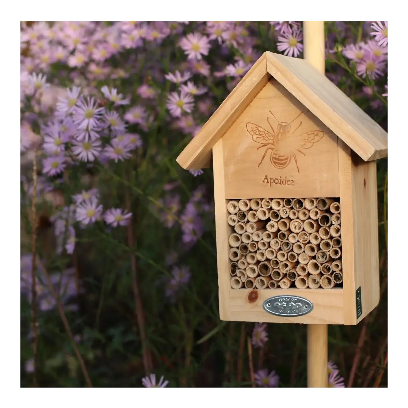 Bienenhaus mit Silhouette