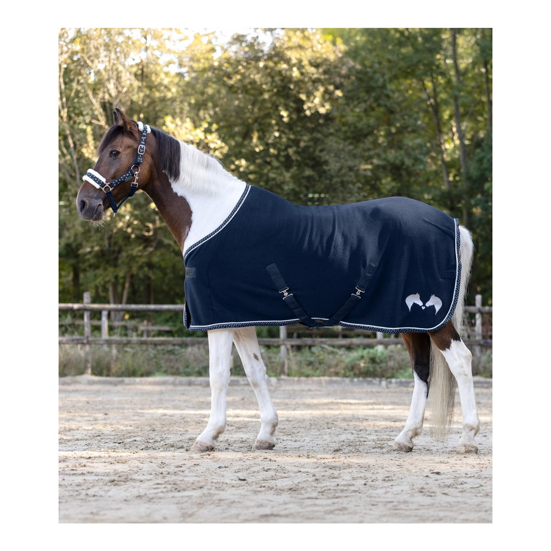 Abschwitzdecke Lucky