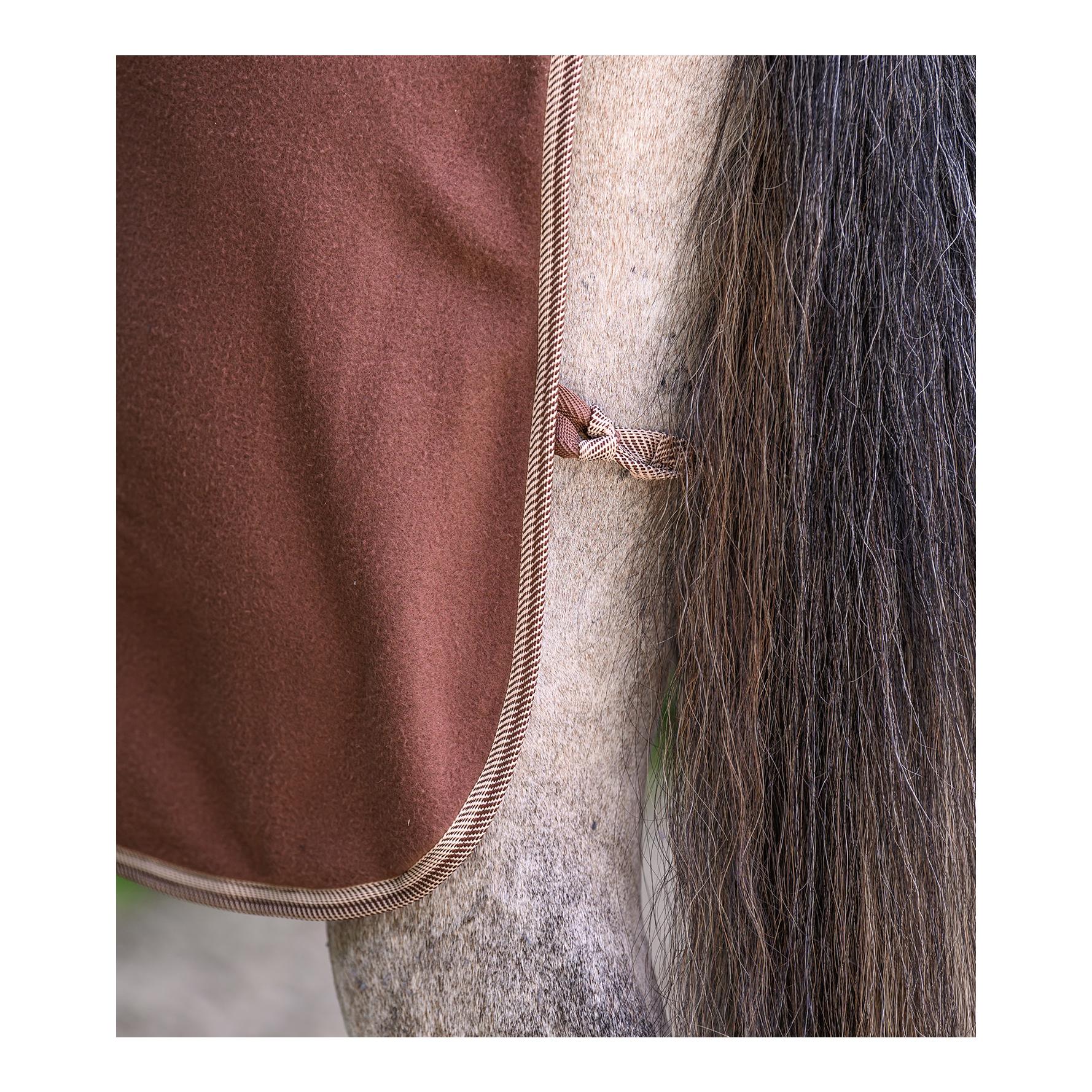 Waldhausen Fleecedecke mit Kreuzgurten ECONOMIC 