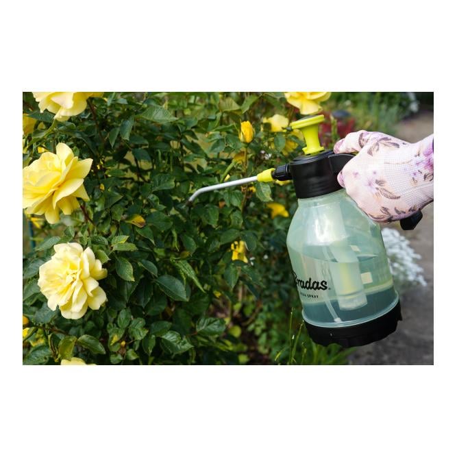 Drucksprüher - AQUA SPRAY CLEAR 