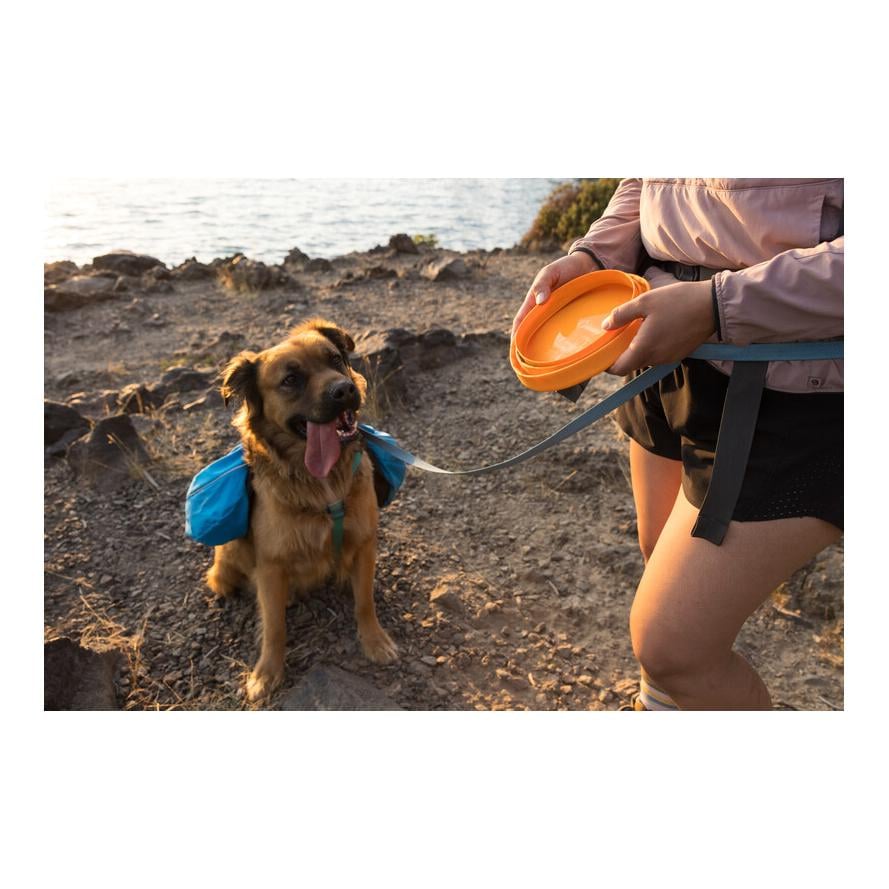 Bivy™ Bowl gamelle pour chien