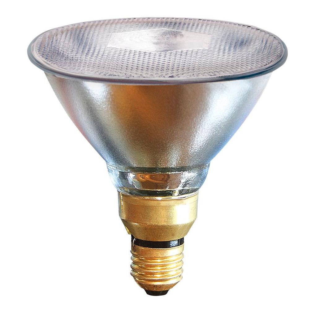 Réchauffeurs de poulailler à l'intérieur de la lampe à pince de poulailler  Lampe chauffante infrarouge avec protection d'ampoule Chauffe-espace à  faible puissance Lampes chauffantes en plein air pour : :  Animalerie