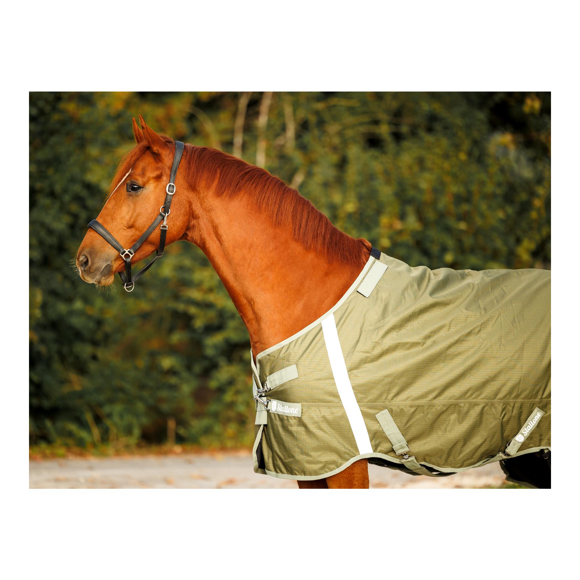 Couverture 100 g d'hiver Outdoor Guard