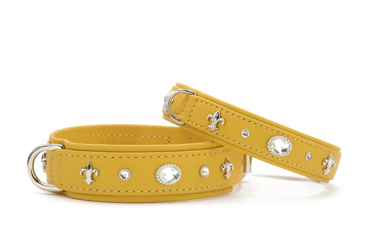 Hundehalsband Diamond