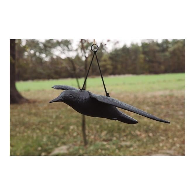 Bradas Anti-oiseaux - corbeau volant