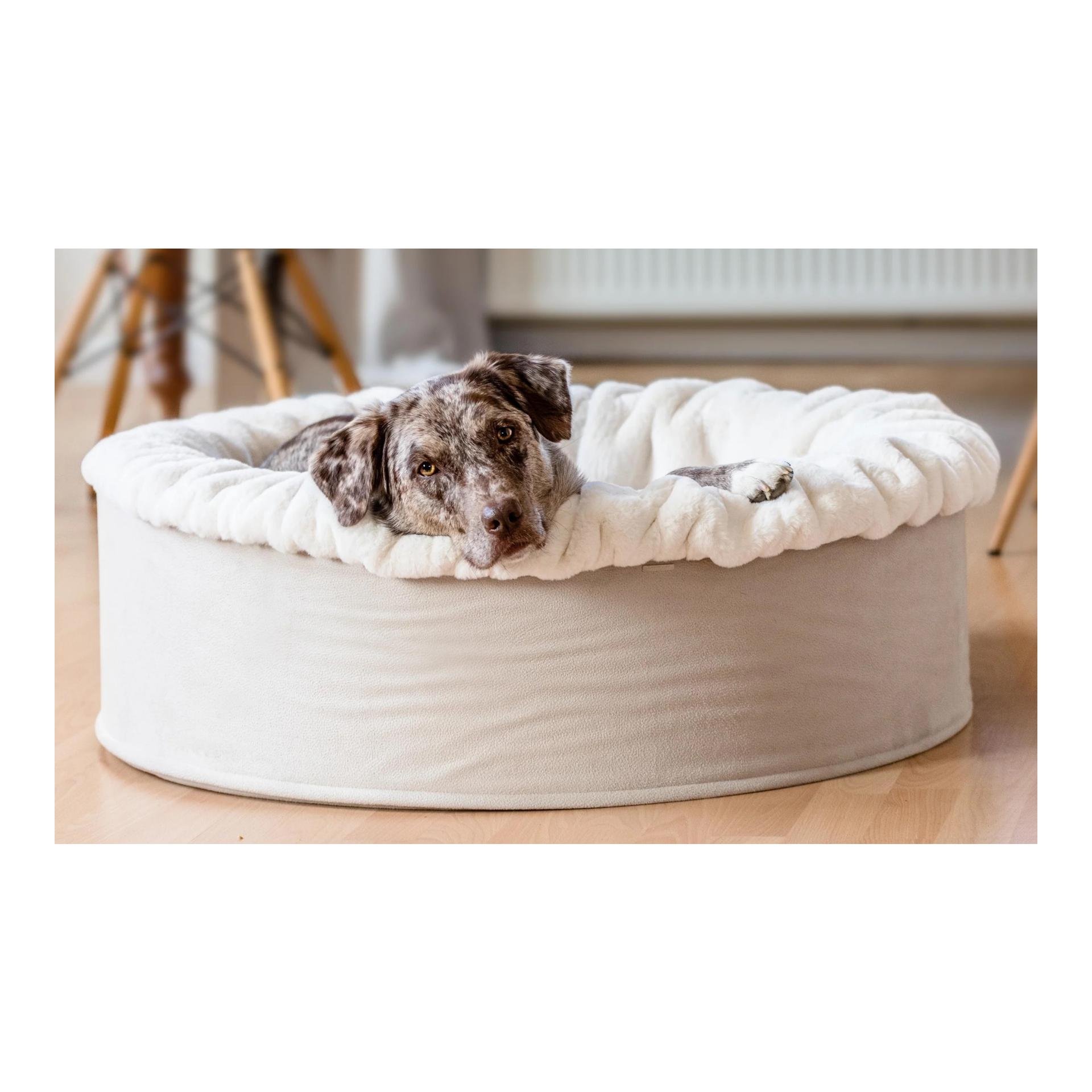 Dogspring by MAUL Panier pour chien Buddelnest®