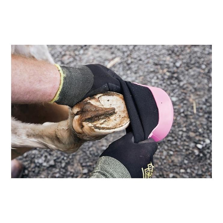 Behandlungsschuh Tubbease für Pferdehufe - pink