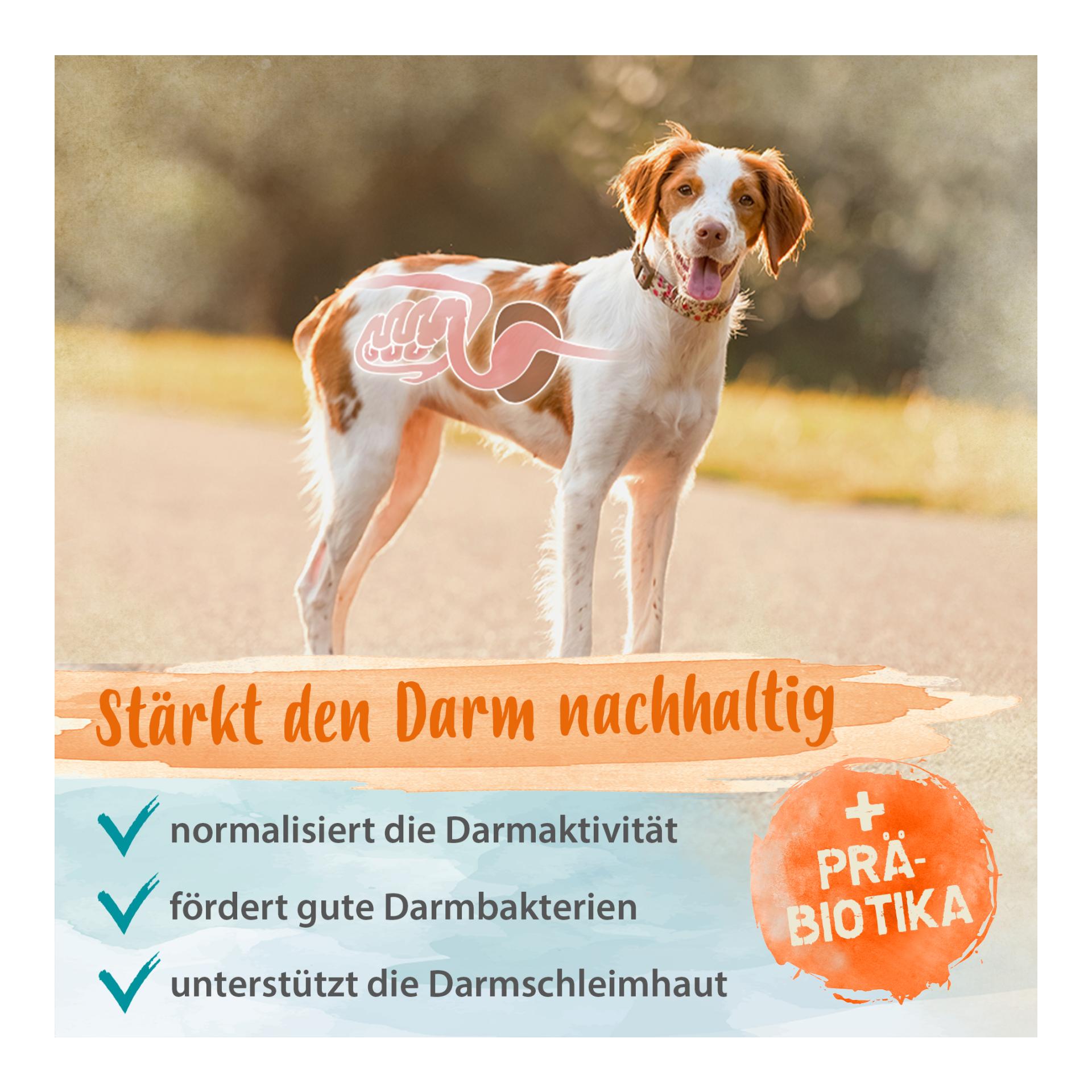 Heilmoor - Verbessert die Kotbeschaffenheit