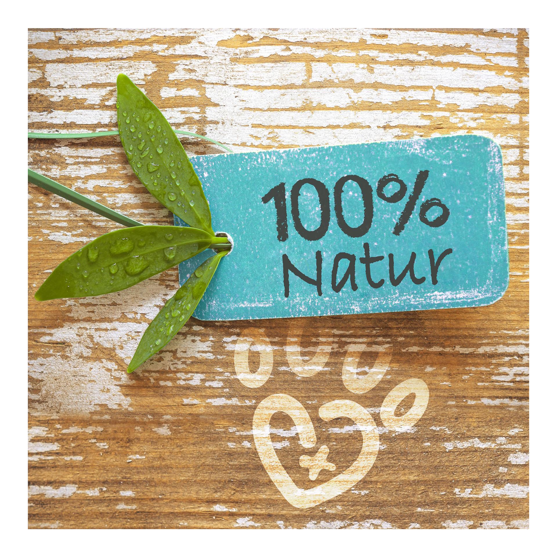 Terre de diatomée Natur - Terre de diatomée en poudre