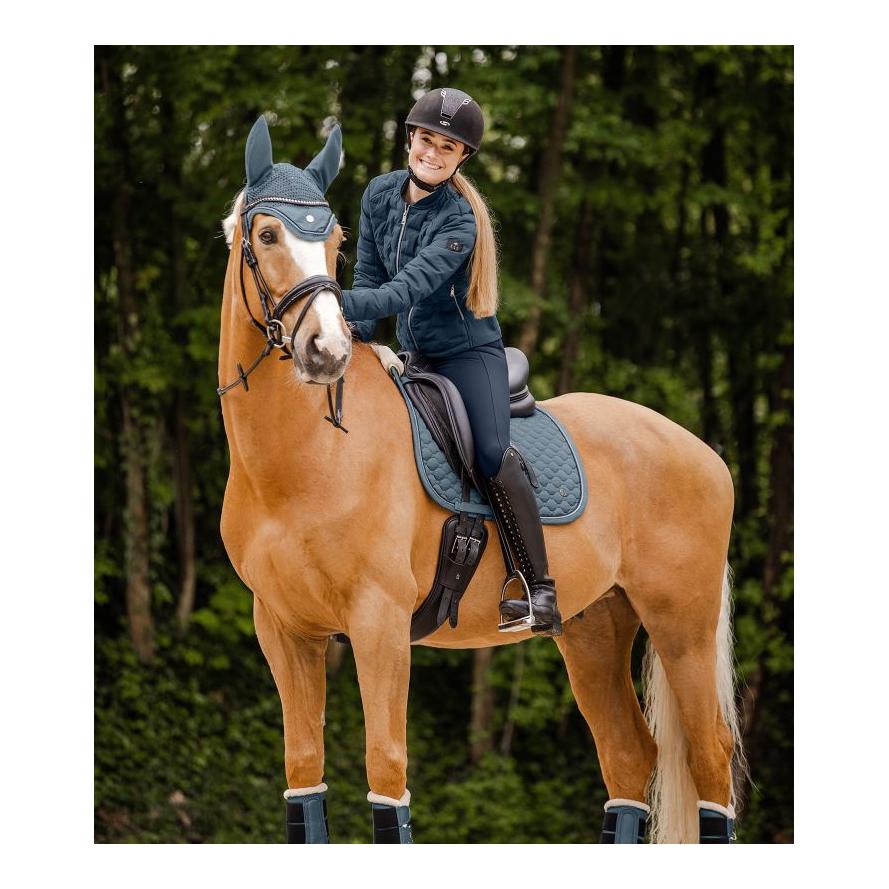 Fliegenohren Pegasus