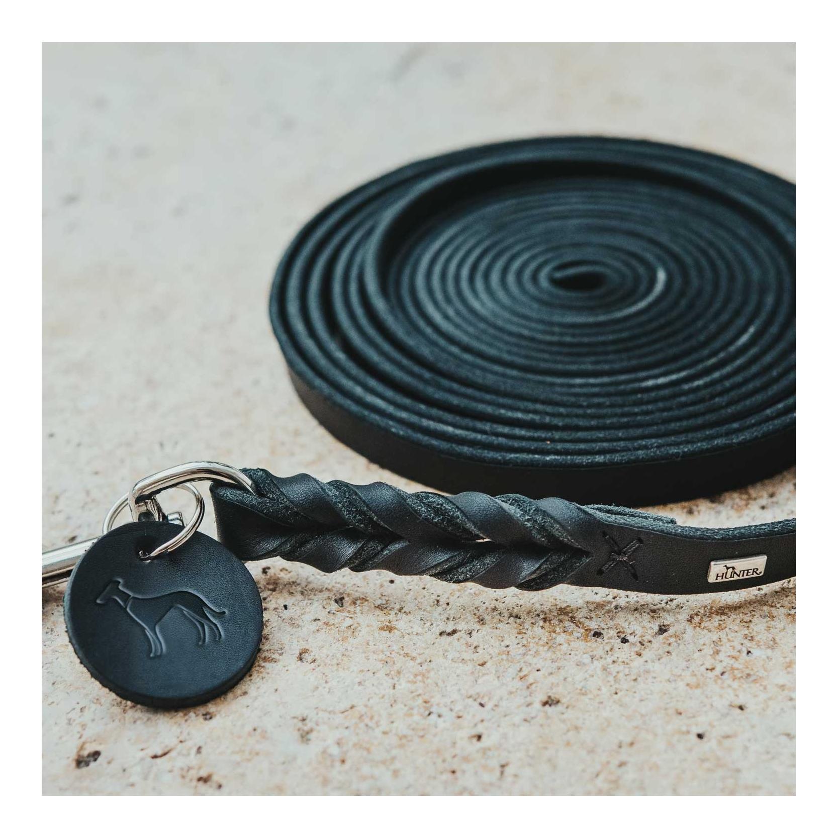 Laisse de recherche Solid Education