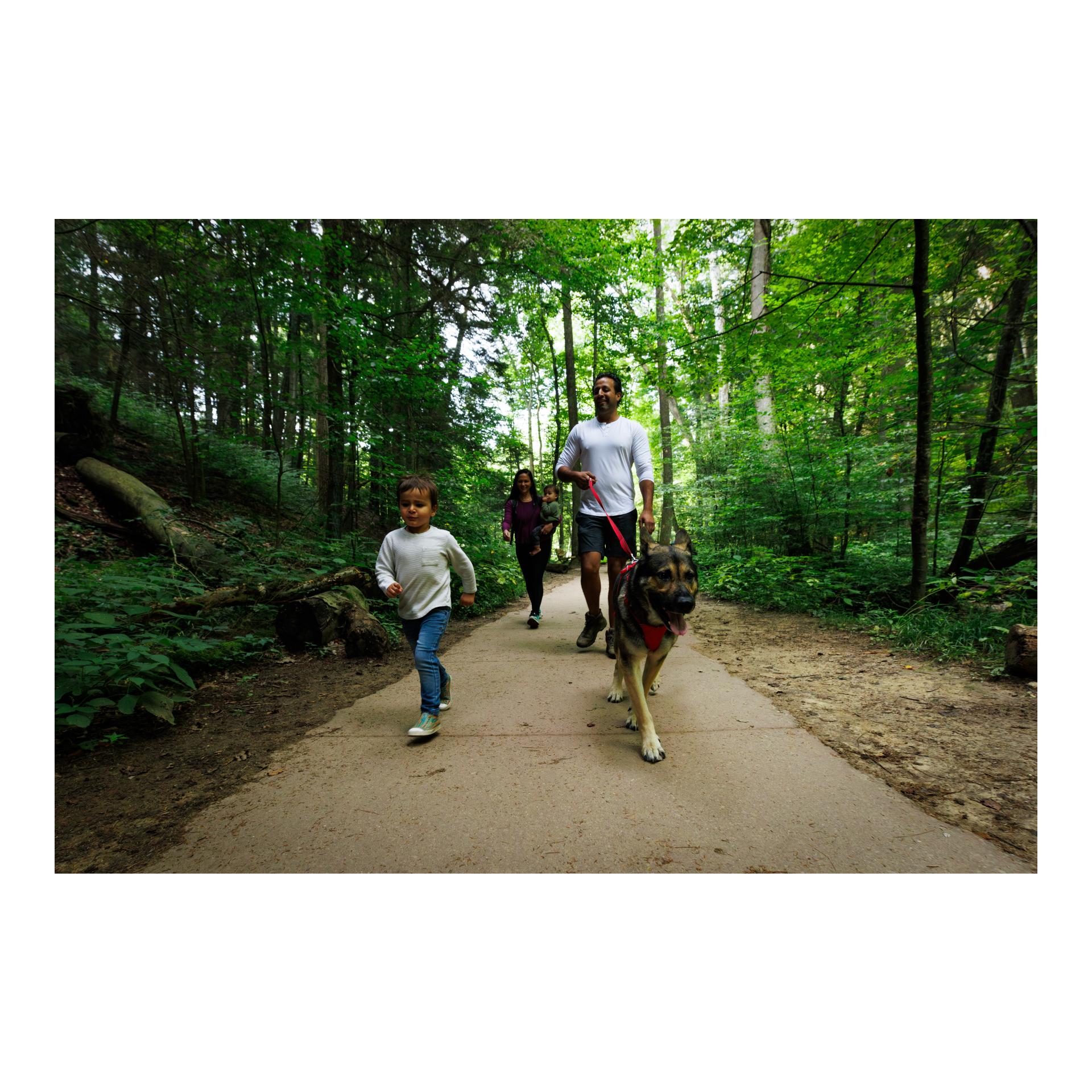 Front Range® Hundegeschirr 