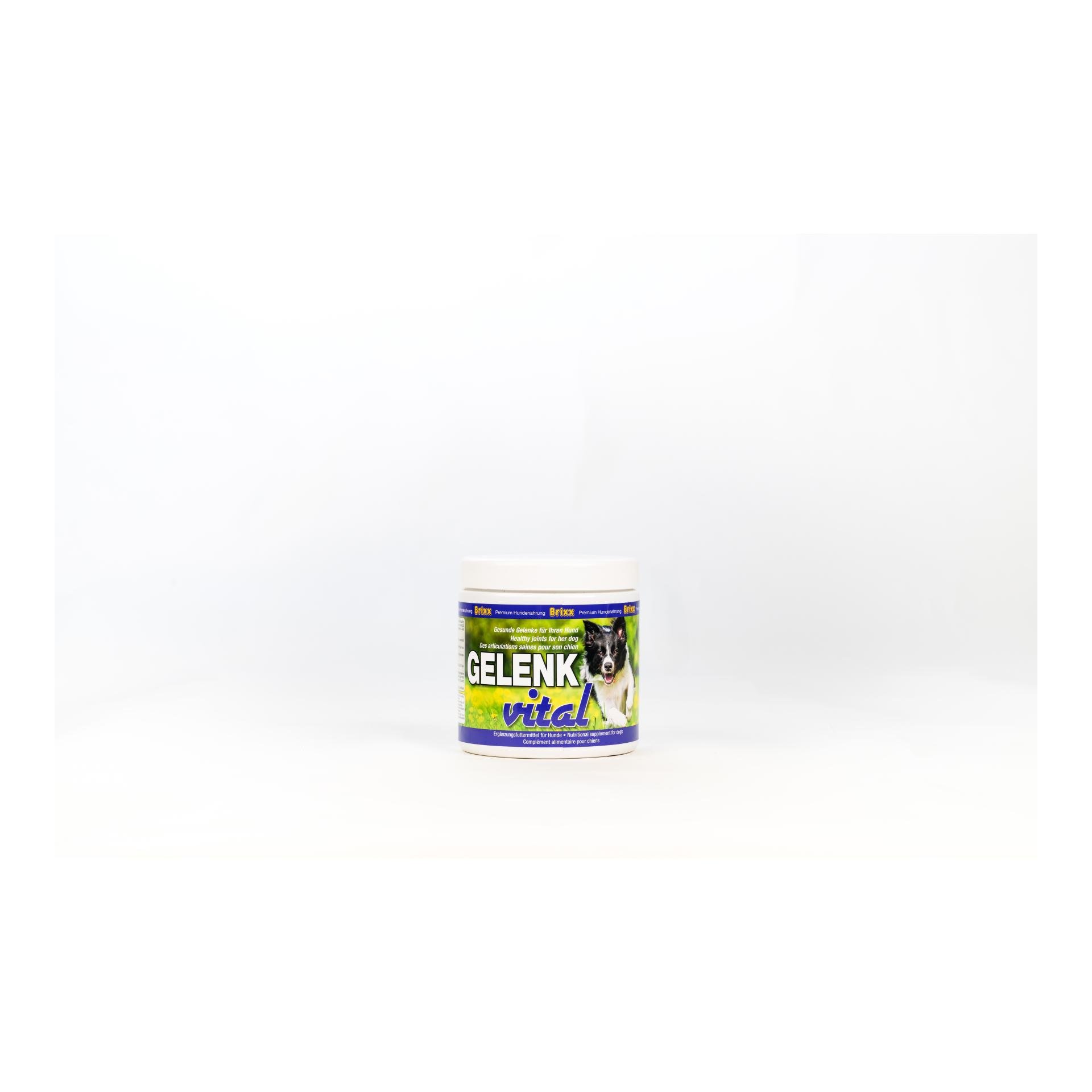 Brixx Gelenk Vital für Hunde