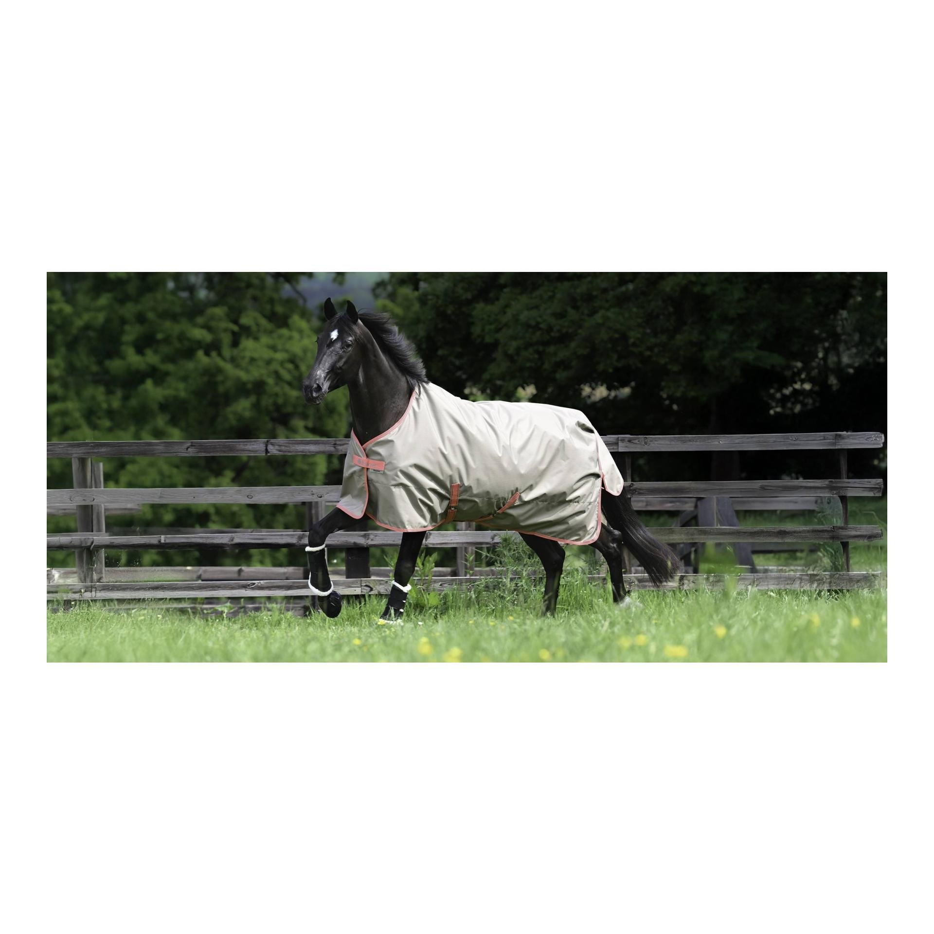 Weidedecke Freedom Turnout Light