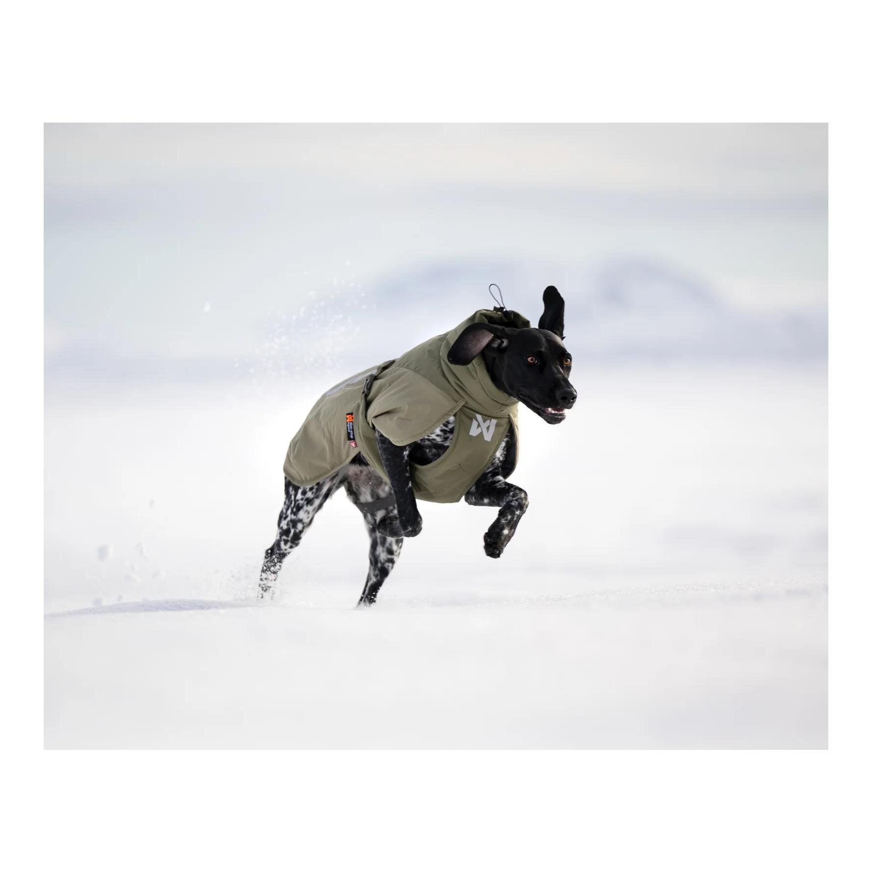 Hunde Winterjacke Glacier wool jacket 3.0