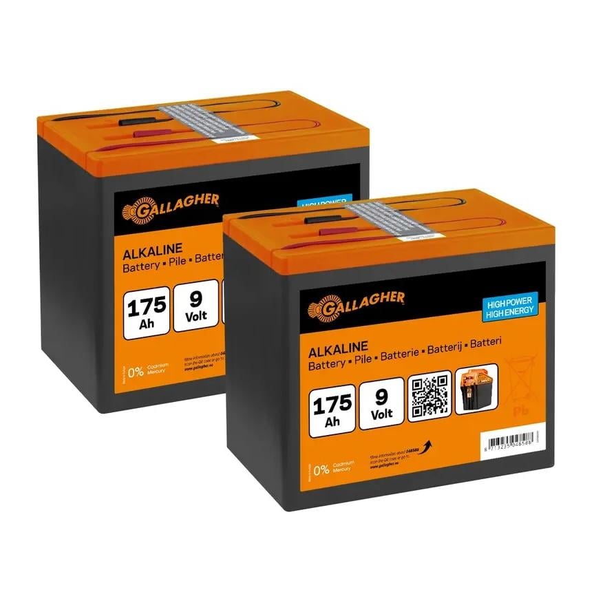 Duopack Alkaline Batterie