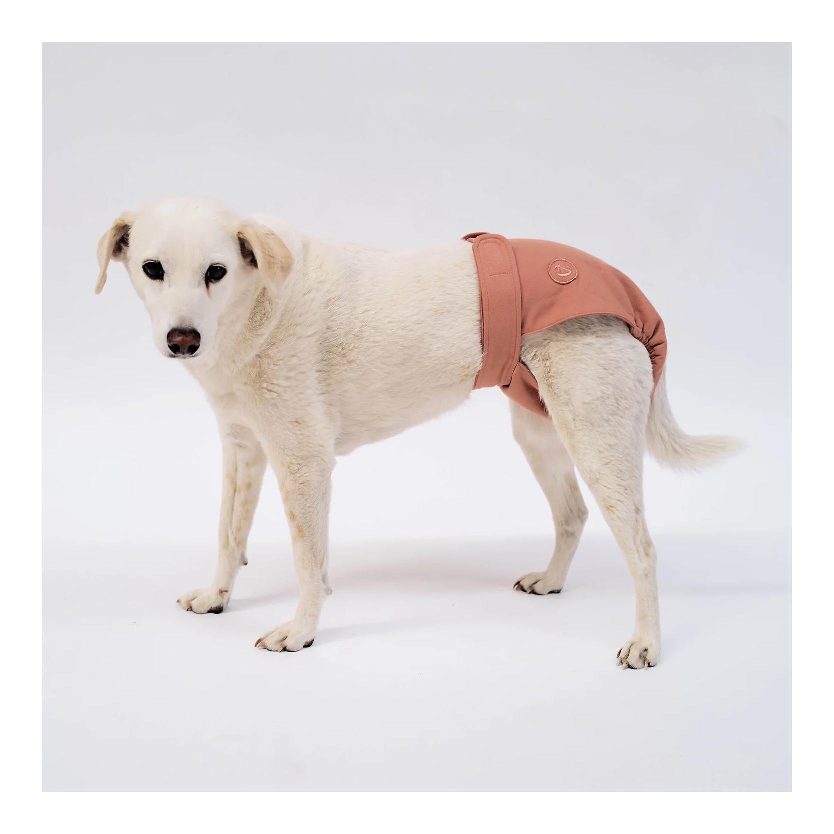 Läufigkeitshöschen für Hunde