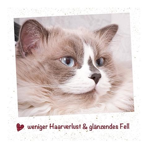 feliTATZ Bio-Haarballen Öl