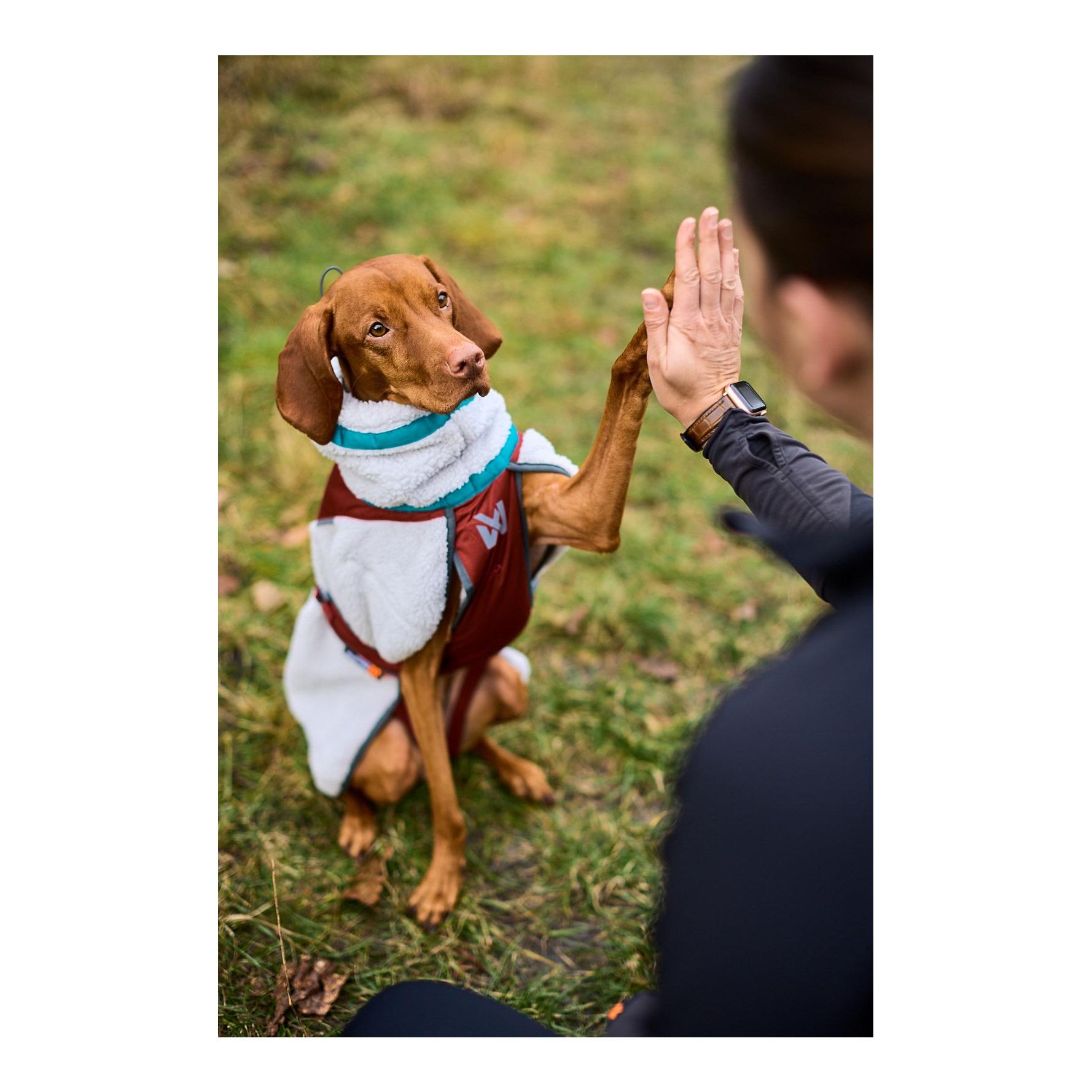 Hundejacke Trekking fleece 