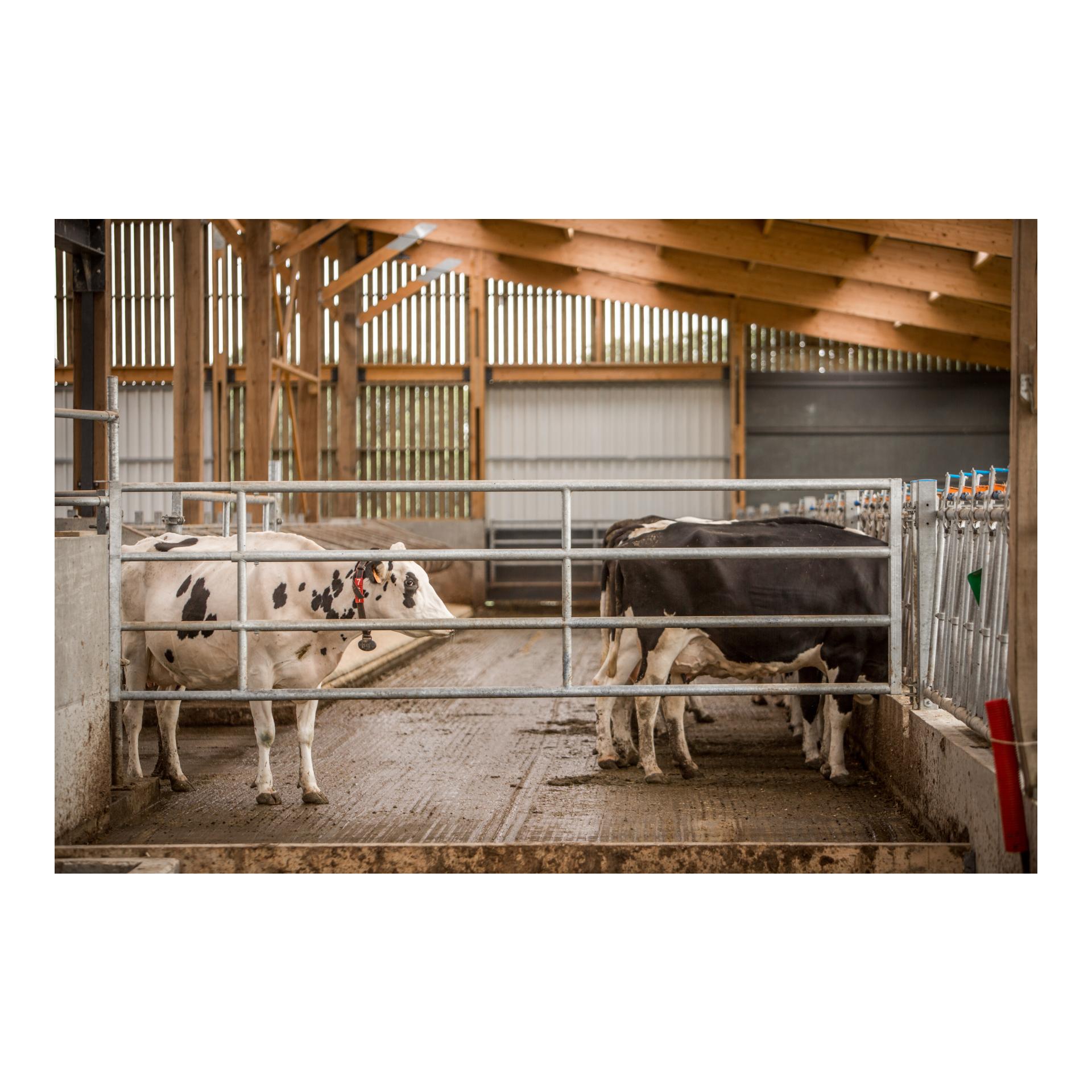 Barrière de séparation LV4 complète