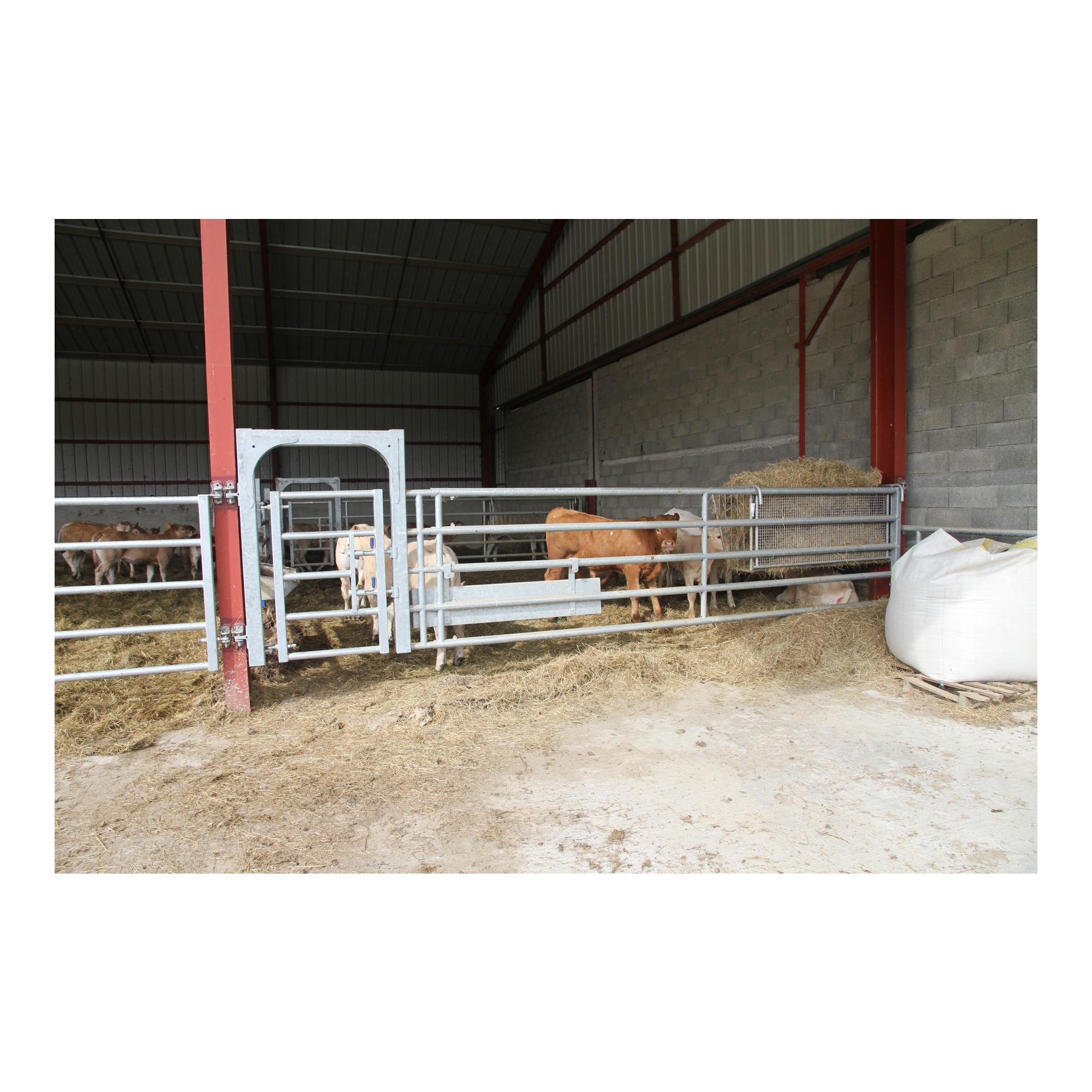 Futterraufe zum Einhängen