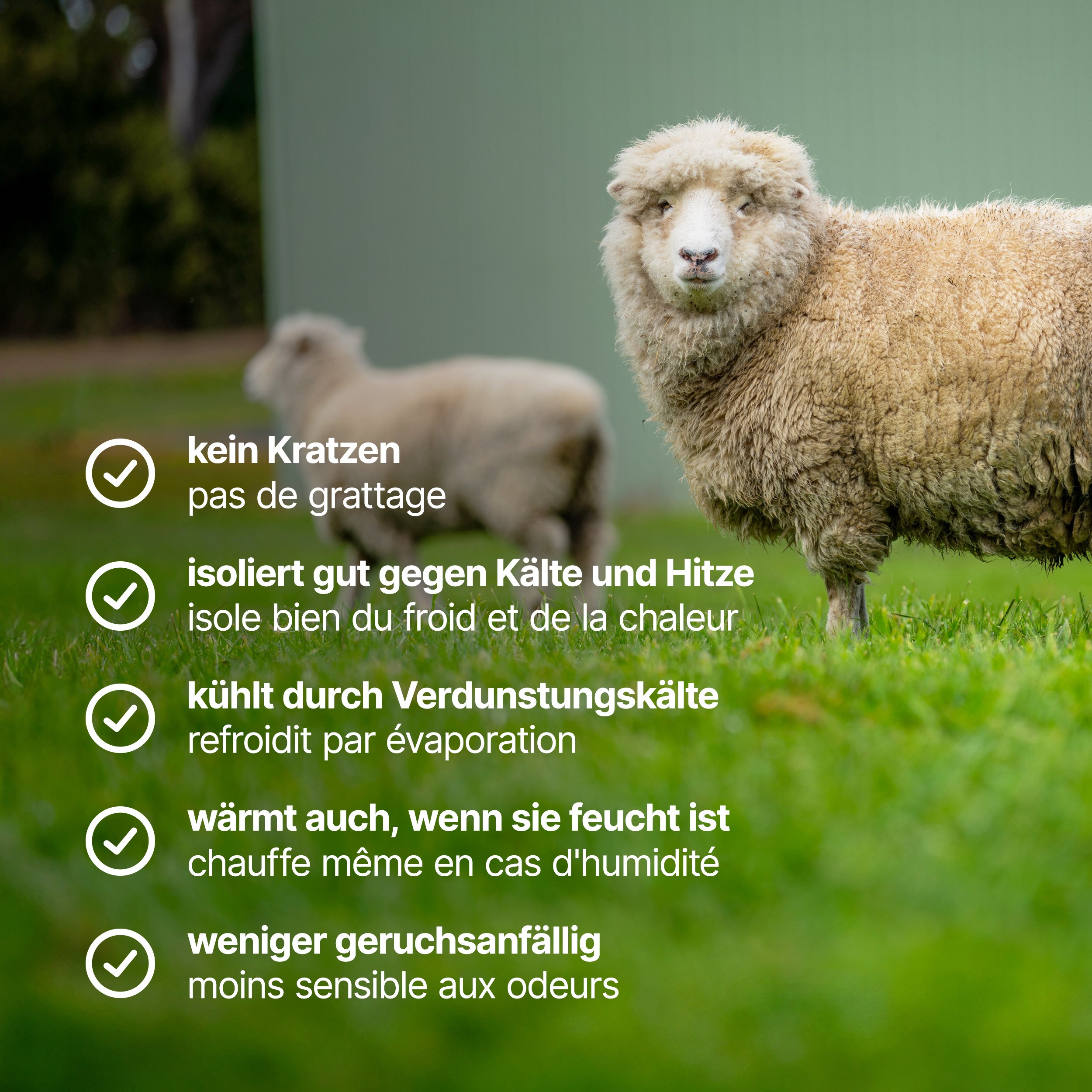 HTV Merinowolle Trekking-Socken - schwarz