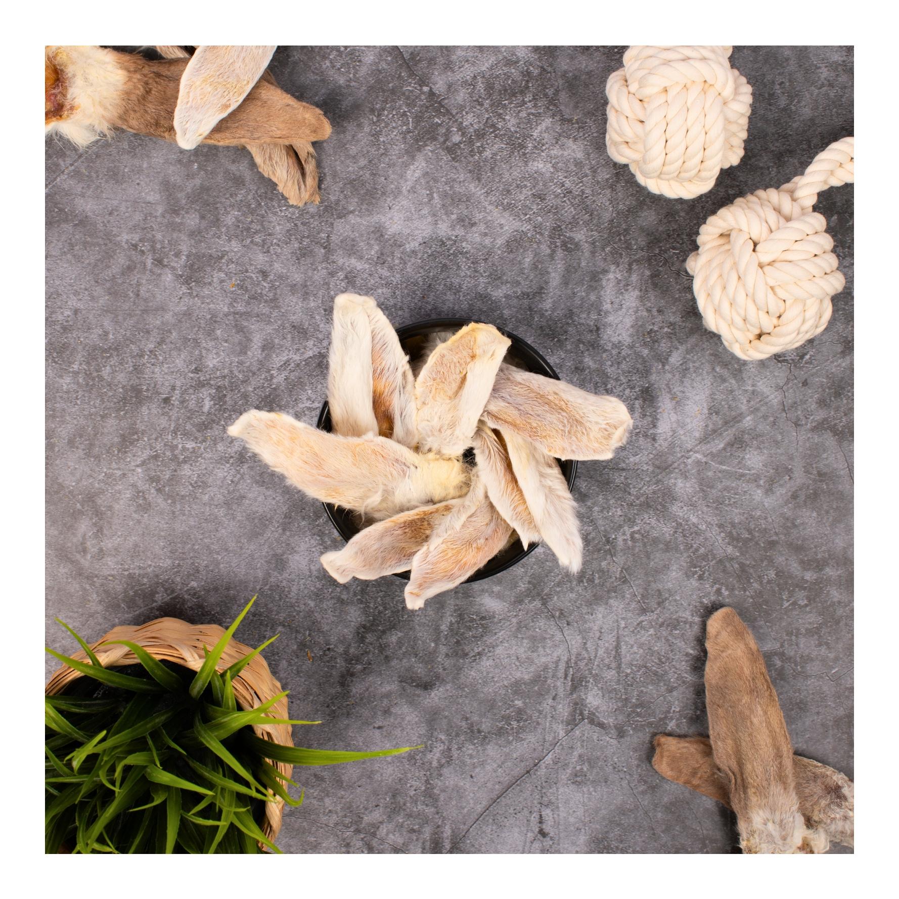 Kaninchenohren mit Fell