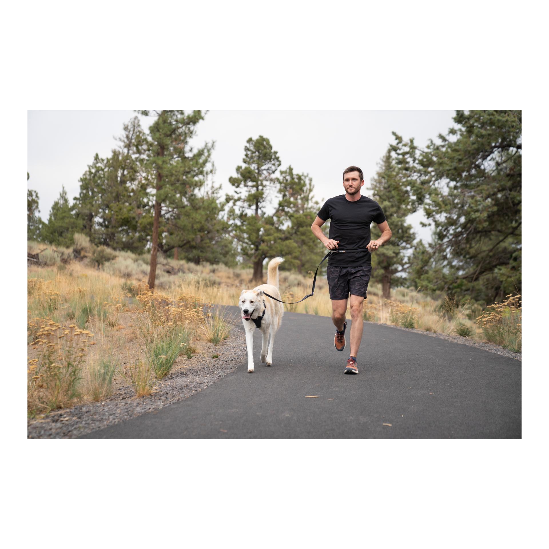 Switchbak™ Leash Laisse pour chien